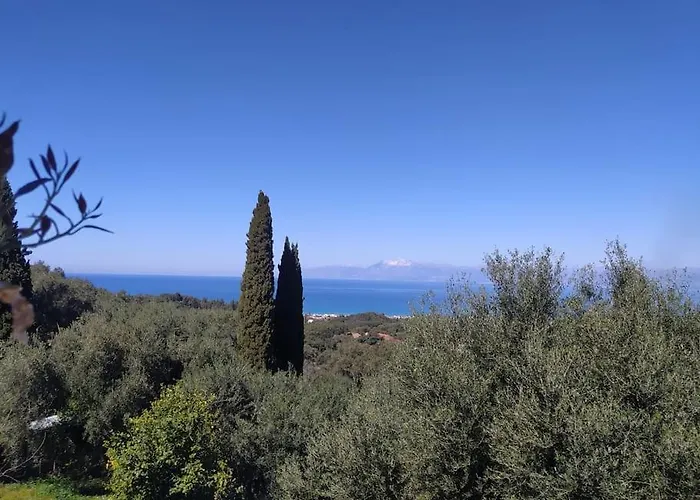 Totolos In Lazaratika Corfu *